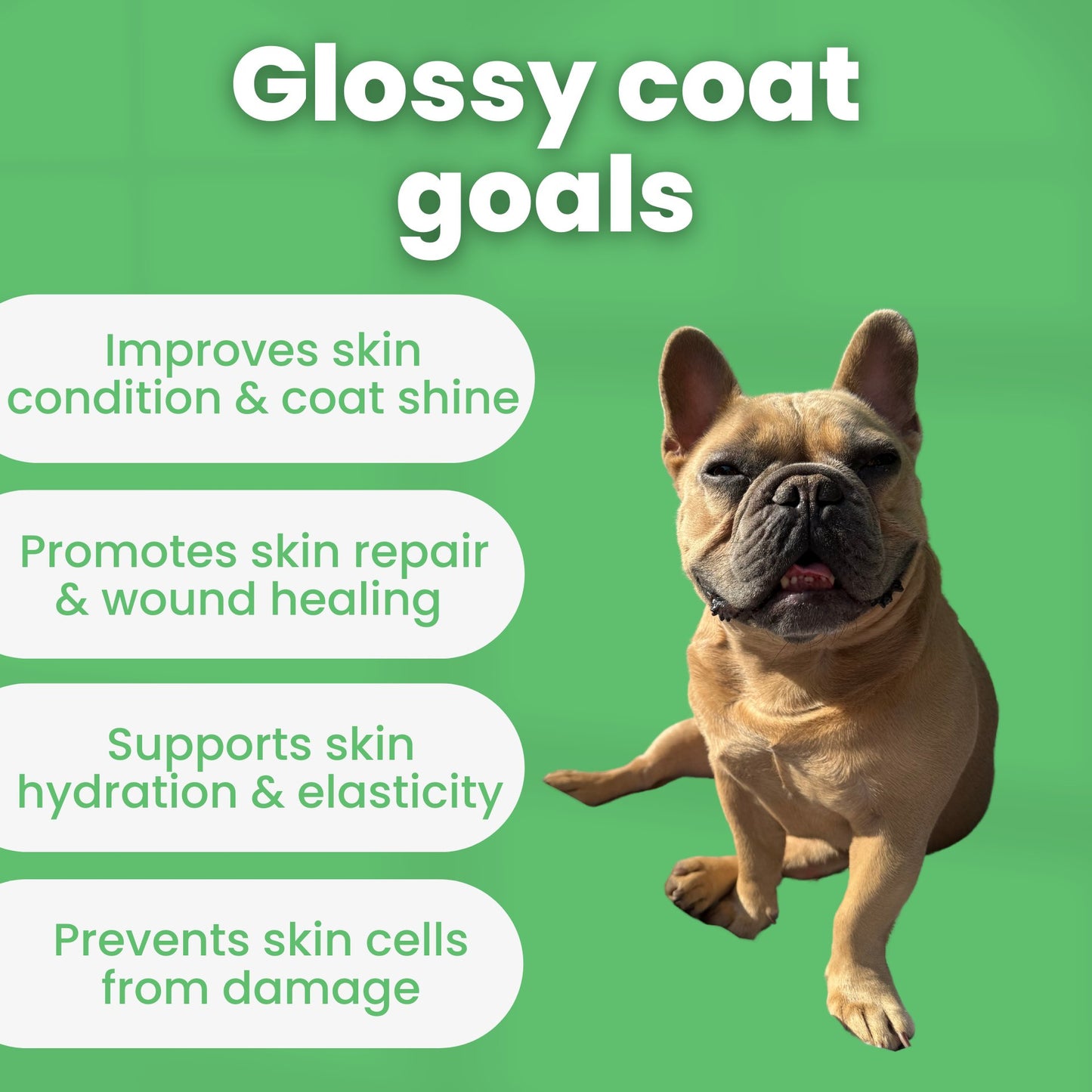Skin & Coat Gravy - TJ Pro
