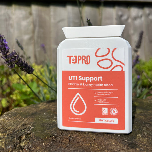 UTI Support