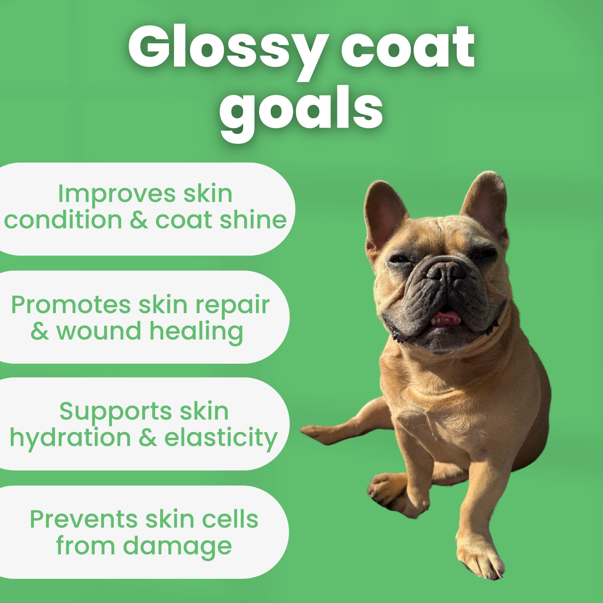 Skin & Coat Gravy - TJ Pro